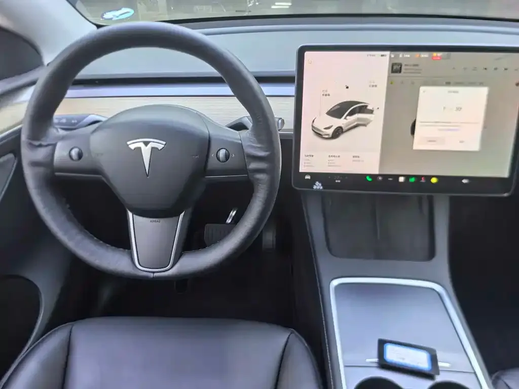 Tesla Model Y 2021 из CN, фото 8