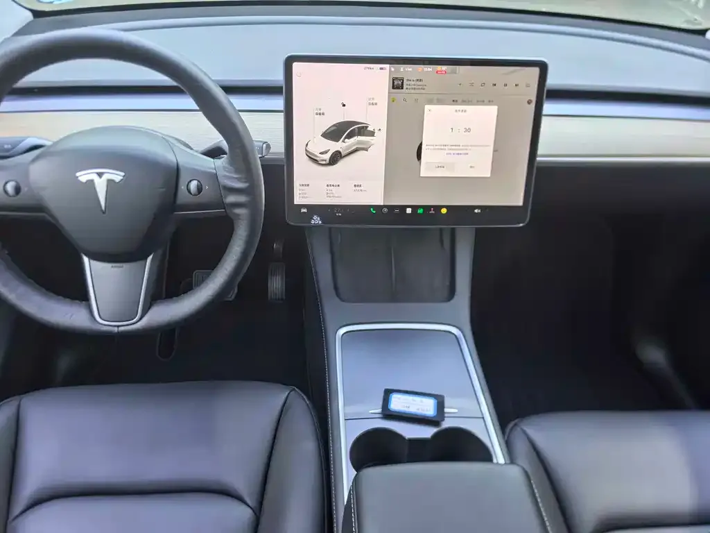 Tesla Model Y 2021 из CN, фото 7