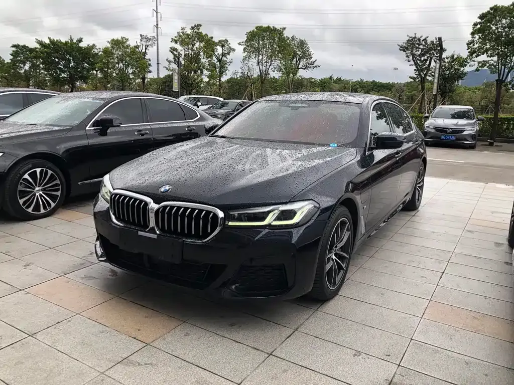 BMW 5 Series New Energy 2021 из CN, фото 1