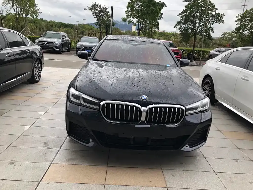 BMW 5 Series New Energy 2021 из CN, фото 5