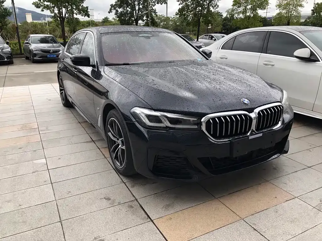 BMW 5 Series New Energy 2021 из CN, фото 6