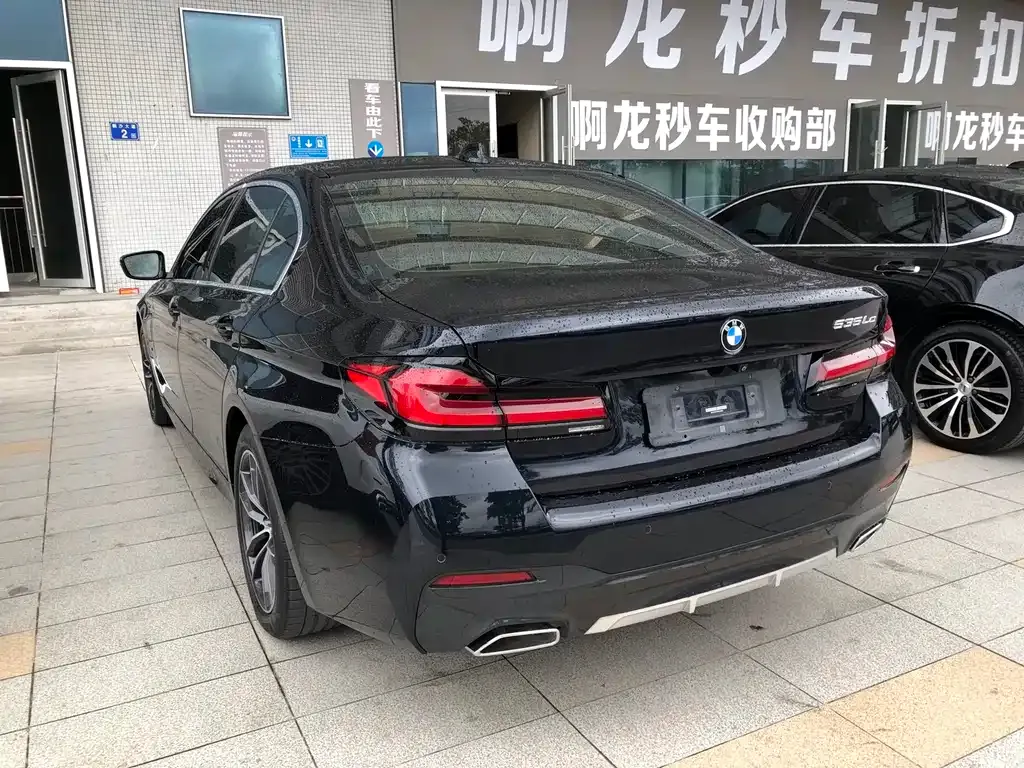 BMW 5 Series New Energy 2021 из CN, фото 8