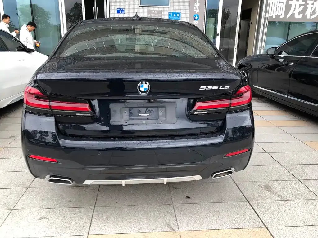 BMW 5 Series New Energy 2021 из CN, фото 4