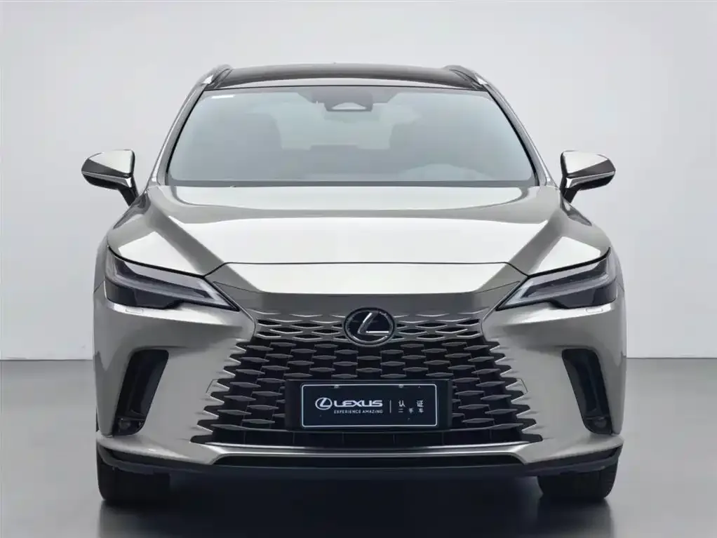 Lexus RX New Energy 2024 из CN, фото 3