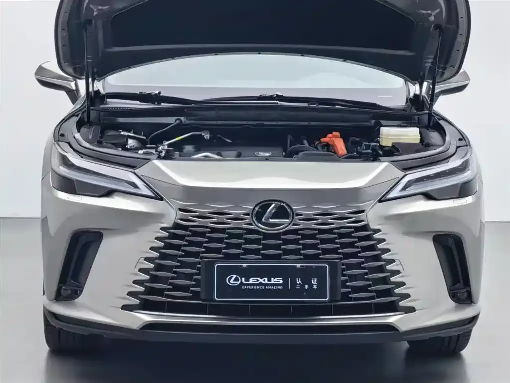 Lexus RX New Energy 2024 из CN, фото 5