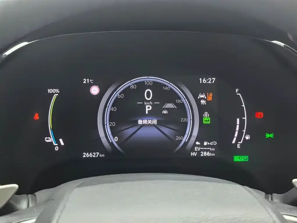 Lexus RX New Energy 2024 из CN, фото 6