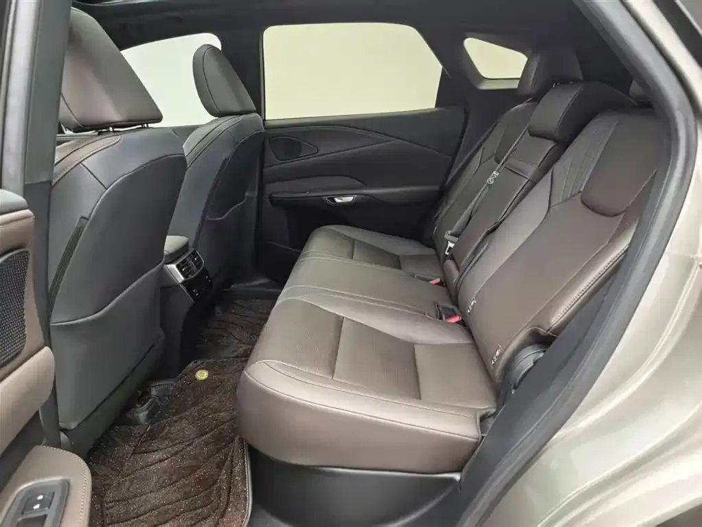 Lexus RX New Energy 2024 из CN, фото 9