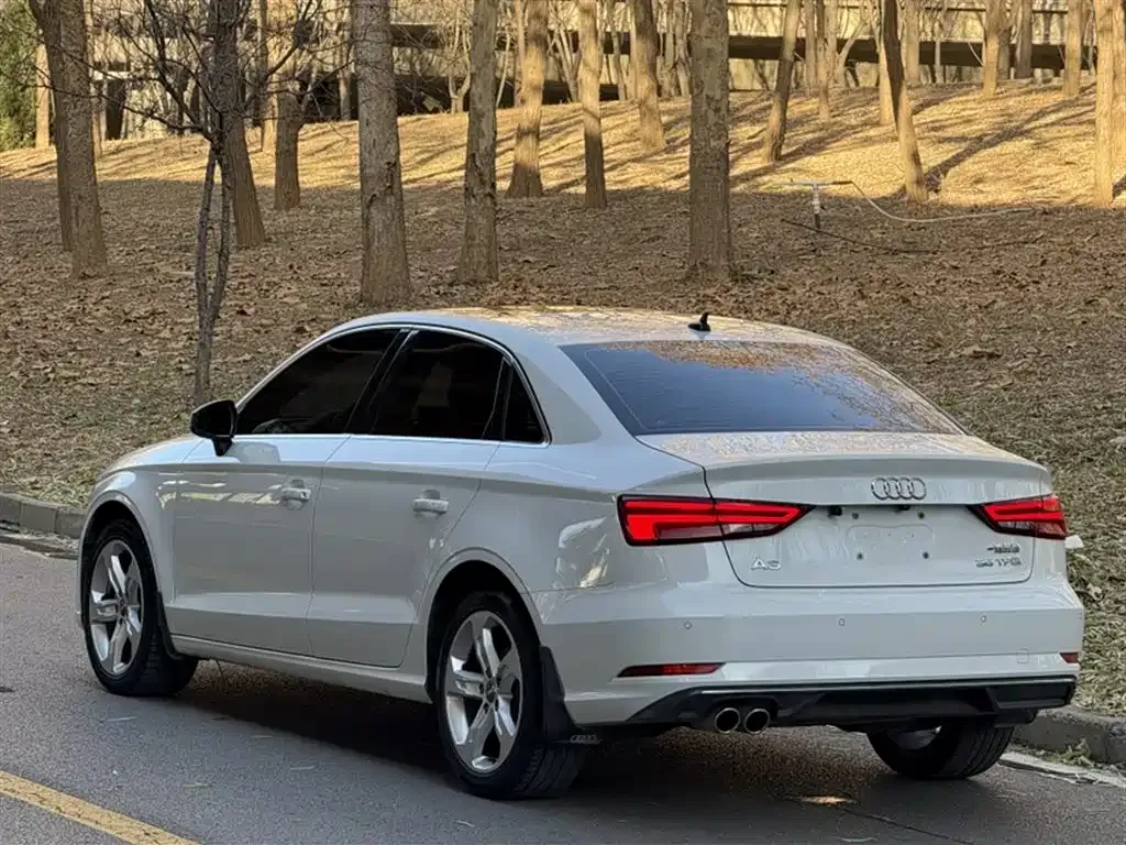 Audi A3 2021 из CN, фото 8