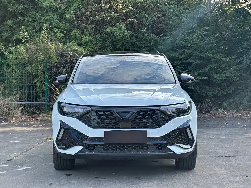 Jetta VS5 2023 из CN, фото 2