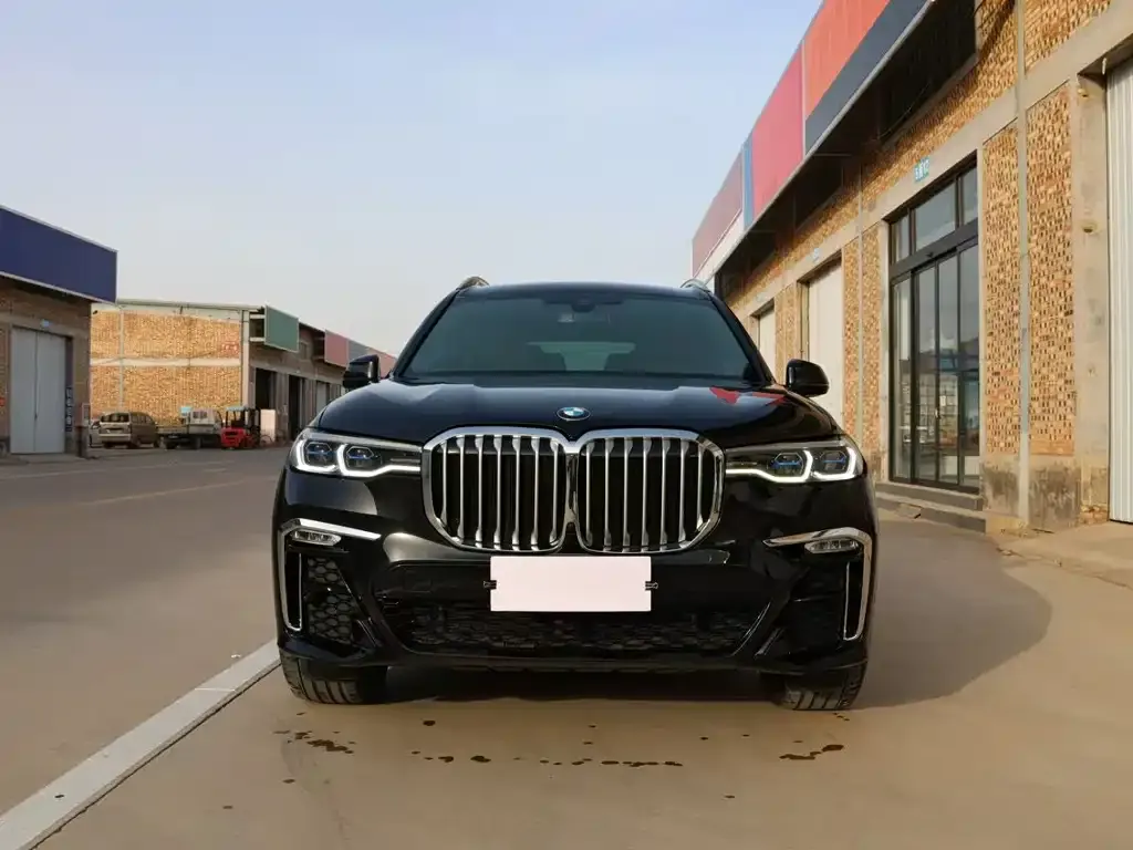 BMW X7 2022 из CN, фото 10