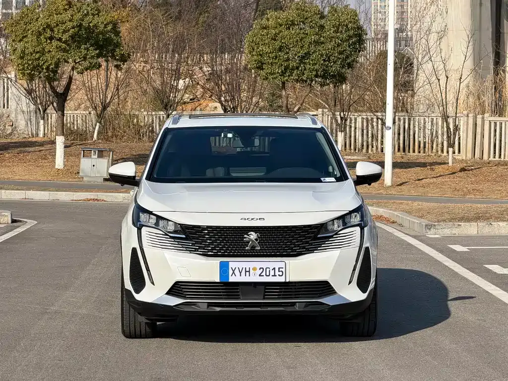Peugeot 4008 2022 из CN, фото 8