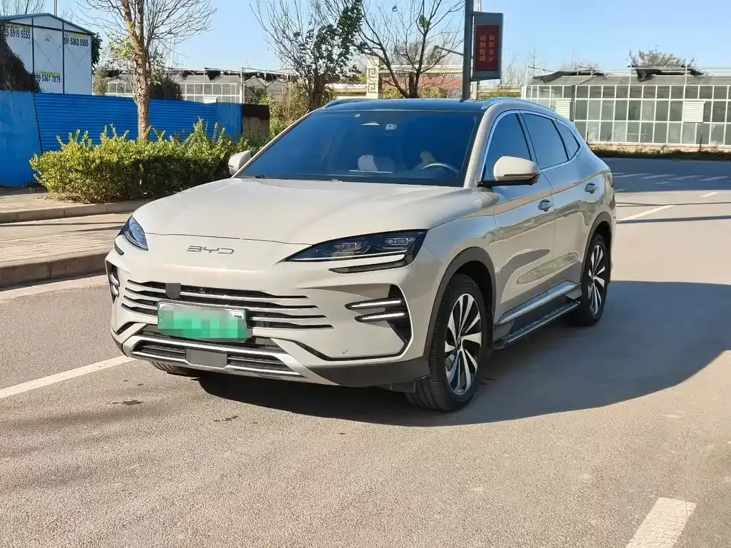 BYD PLUS New Energy — фото 3
