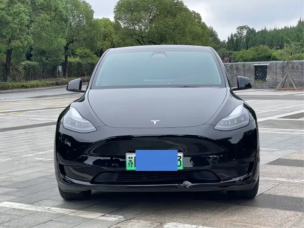 Tesla Model Y — фото 2