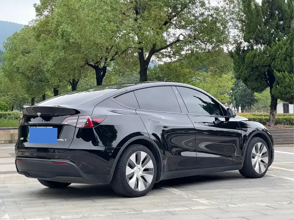 Tesla Model Y — фото 5