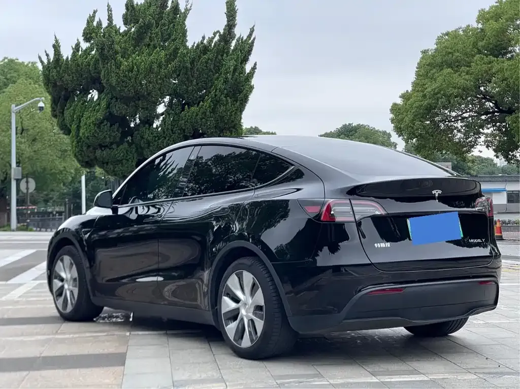 Tesla Model Y — фото 6
