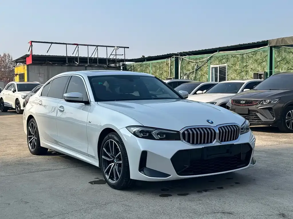 BMW 3 Series 2023 из CN, фото 8
