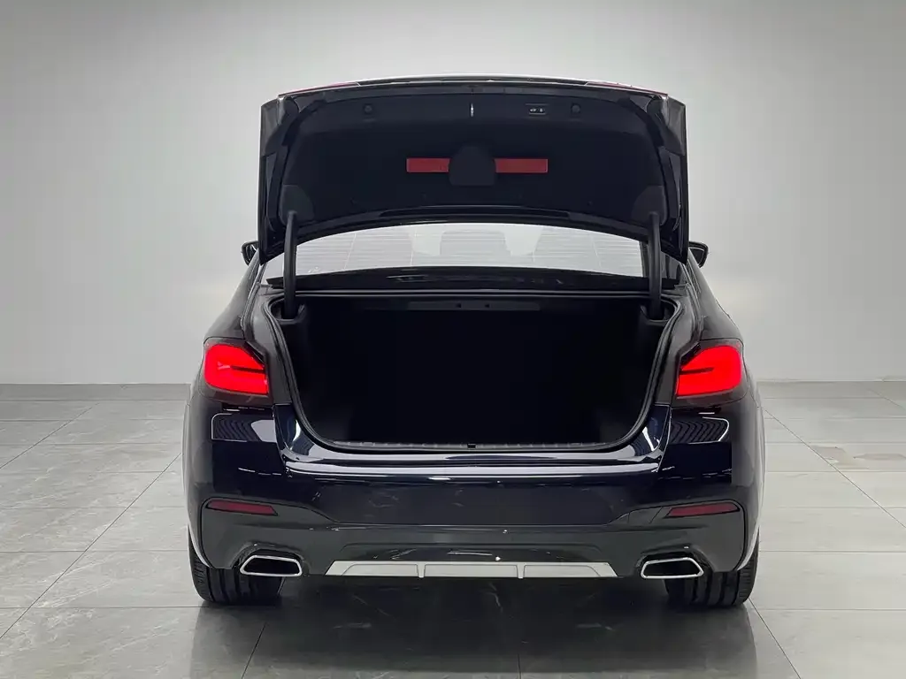 BMW 5 Series 2021 из CN, фото 5