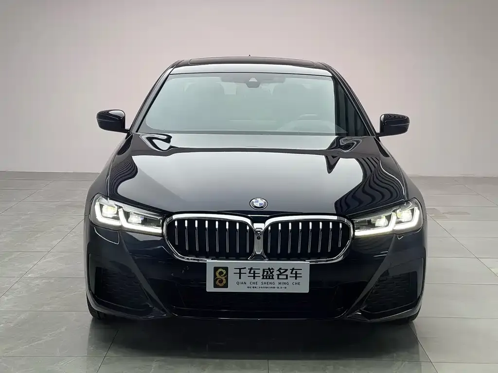 BMW 5 Series 2021 из CN, фото 3