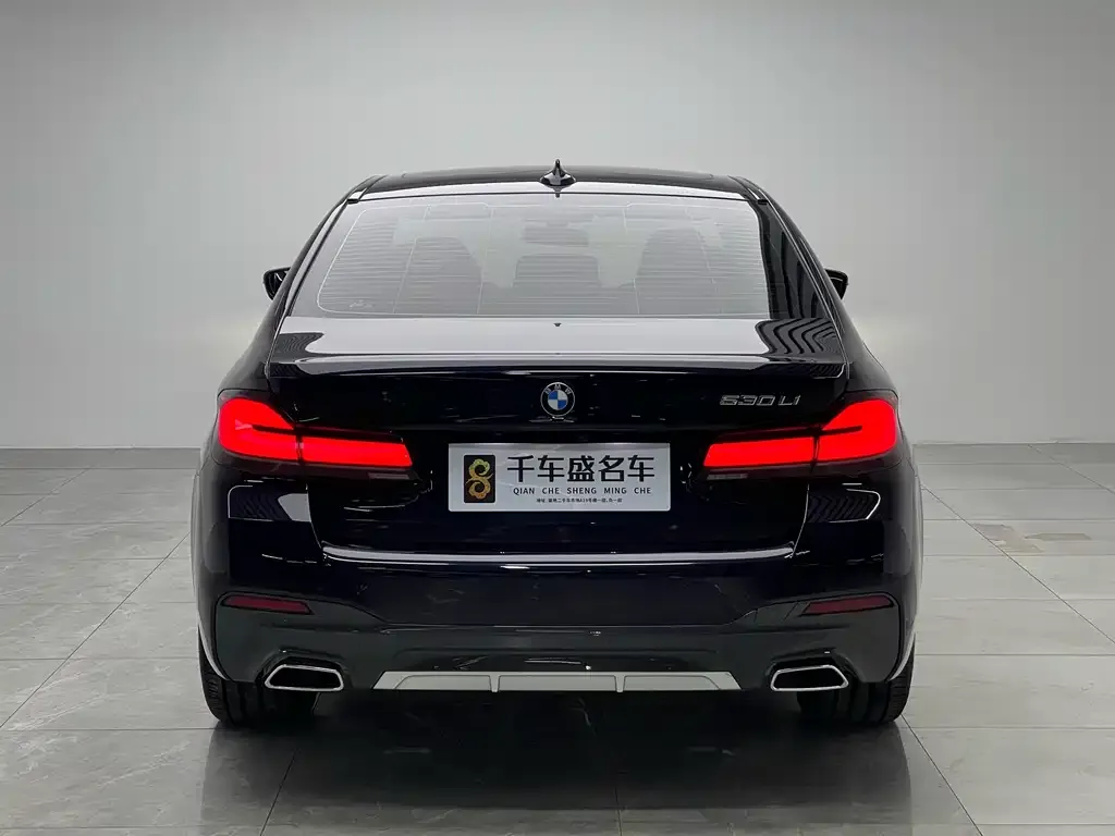 BMW 5 Series 2021 из CN, фото 2