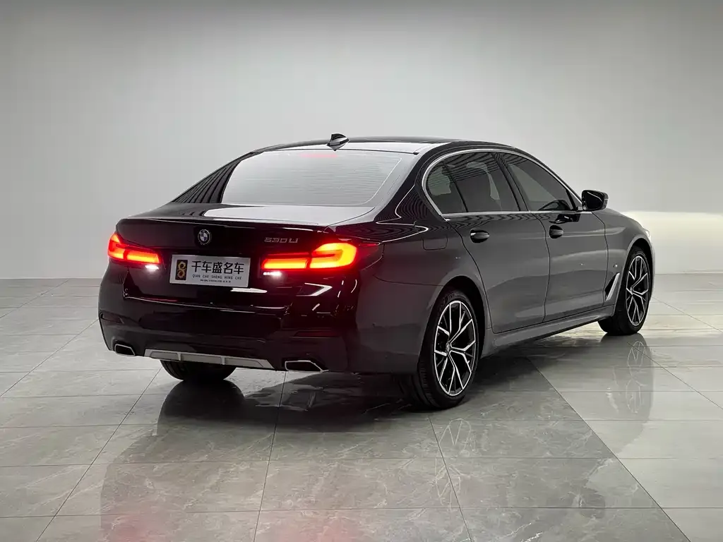 BMW 5 Series 2021 из CN, фото 10