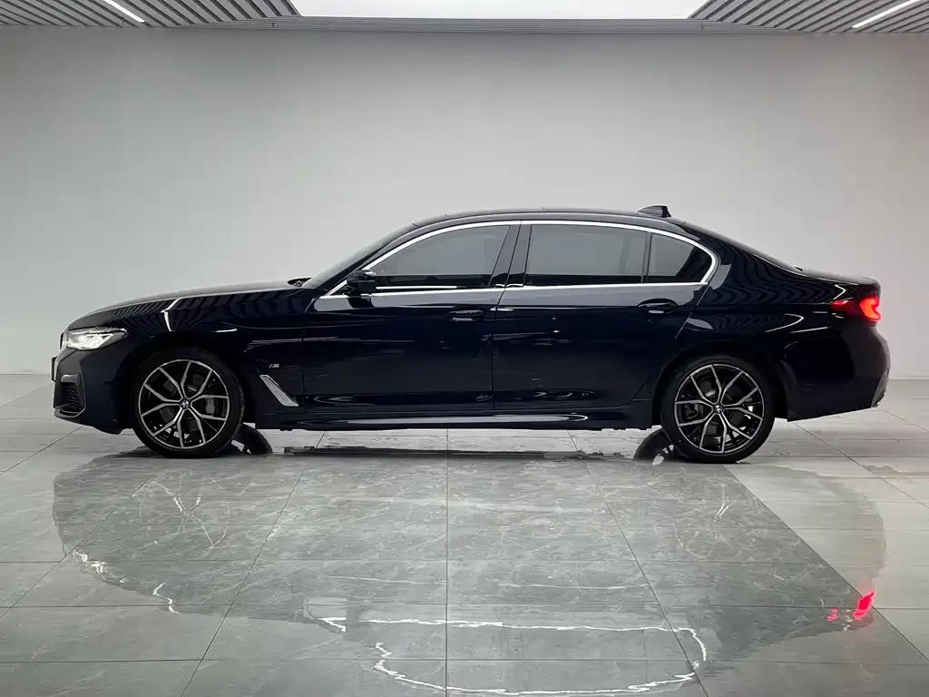 BMW 5 Series 2021 из CN, фото 6
