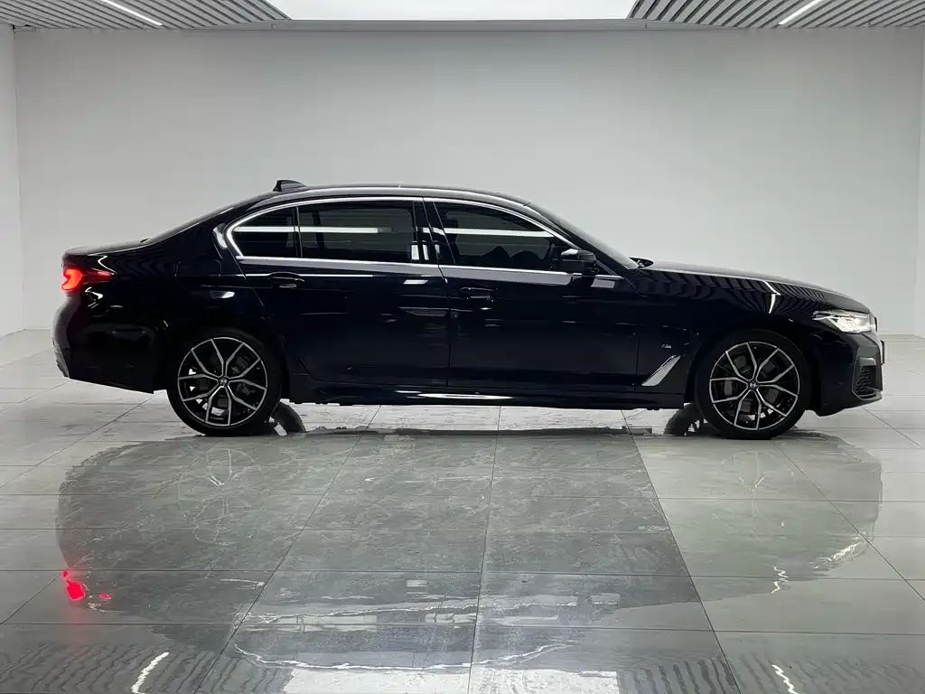 BMW 5 Series 2021 из CN, фото 8