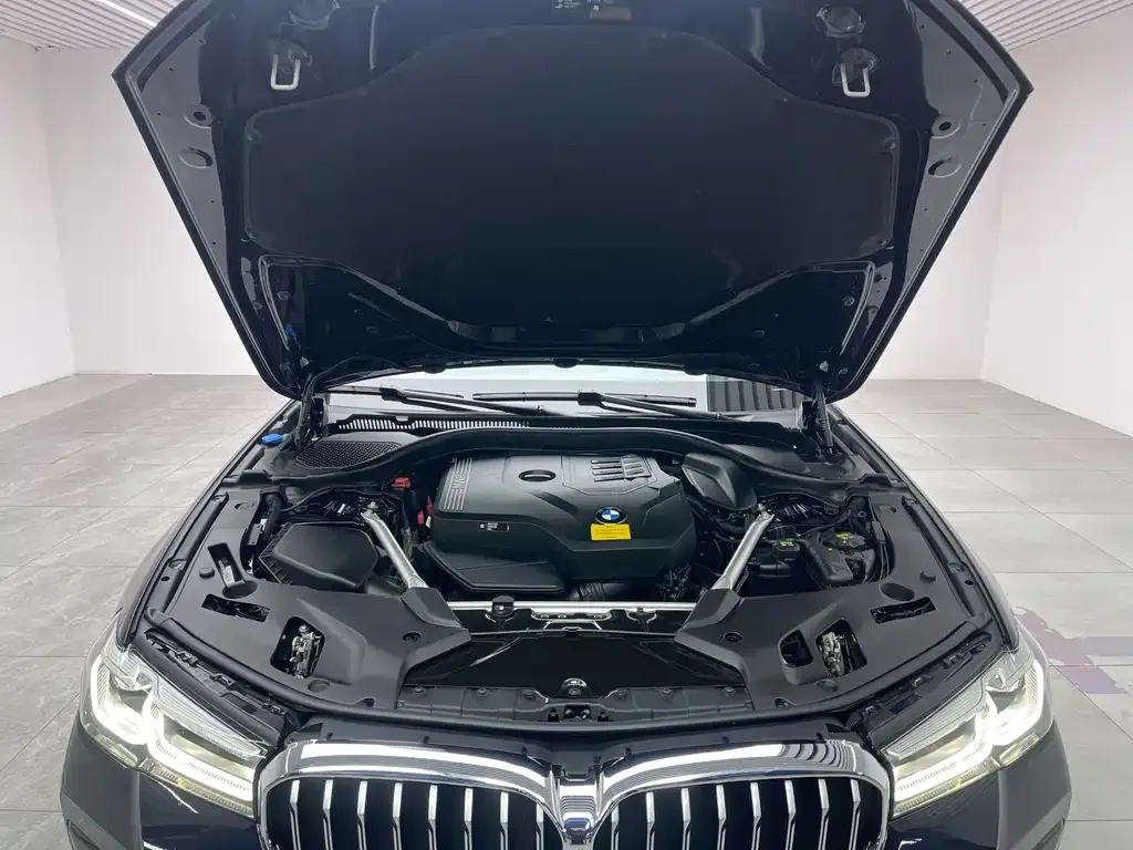 BMW 5 Series 2021 из CN, фото 9