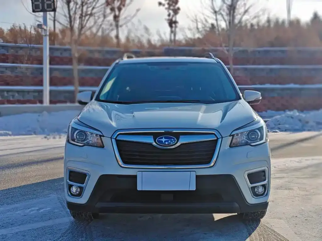 Subaru Forester — фото 10