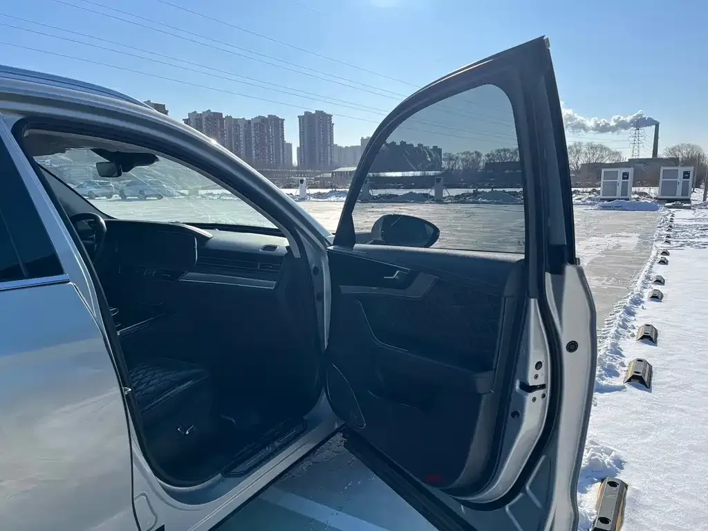 Hongqi HS5 2021 из CN, фото 6