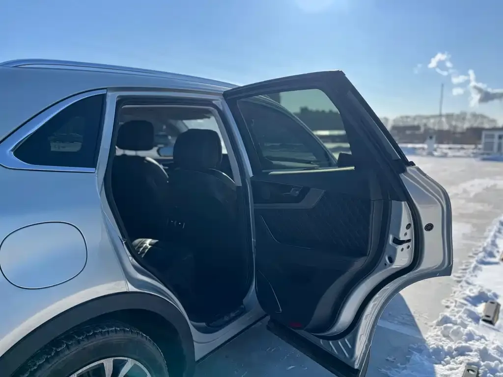 Hongqi HS5 2021 из CN, фото 2
