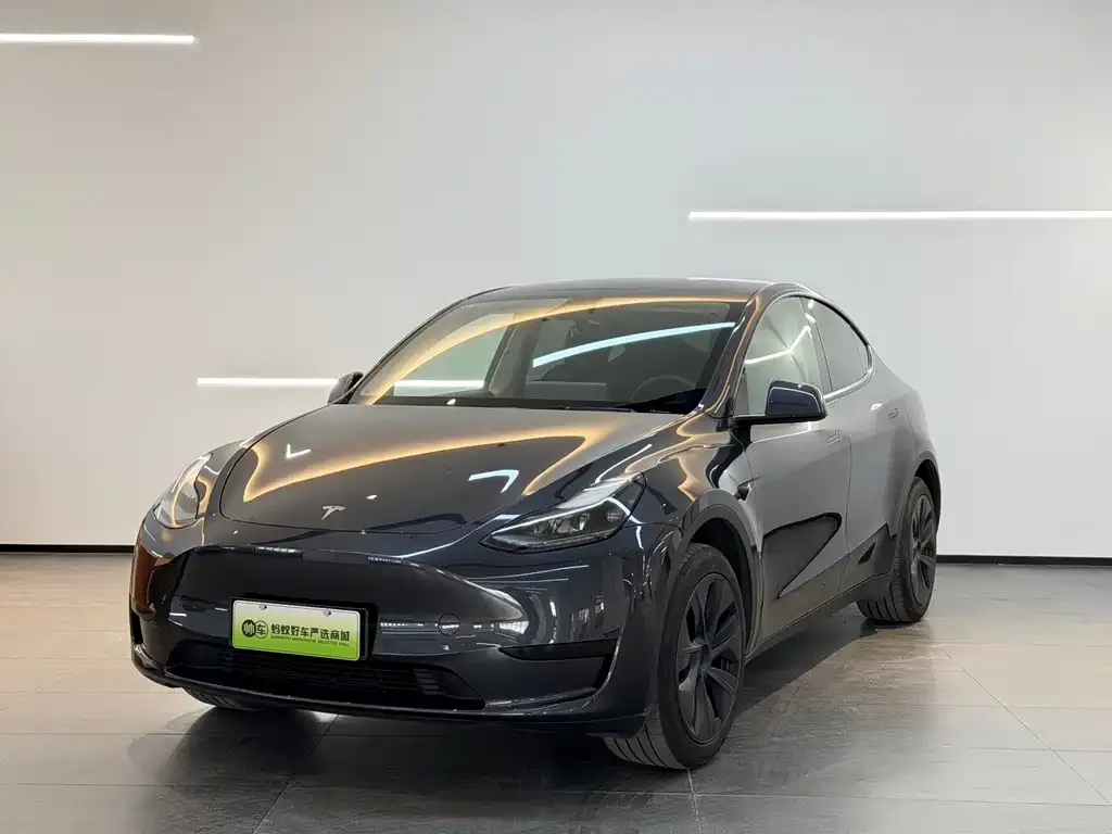Tesla Model Y — фото 1