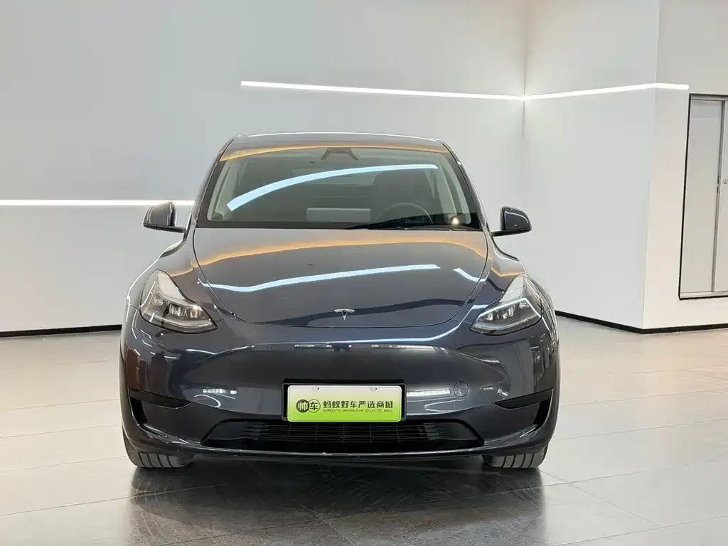 Tesla Model Y — фото 8