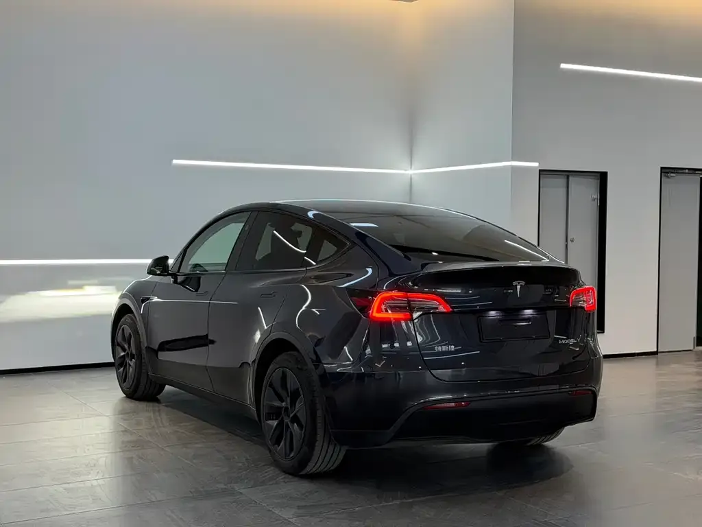 Tesla Model Y — фото 4