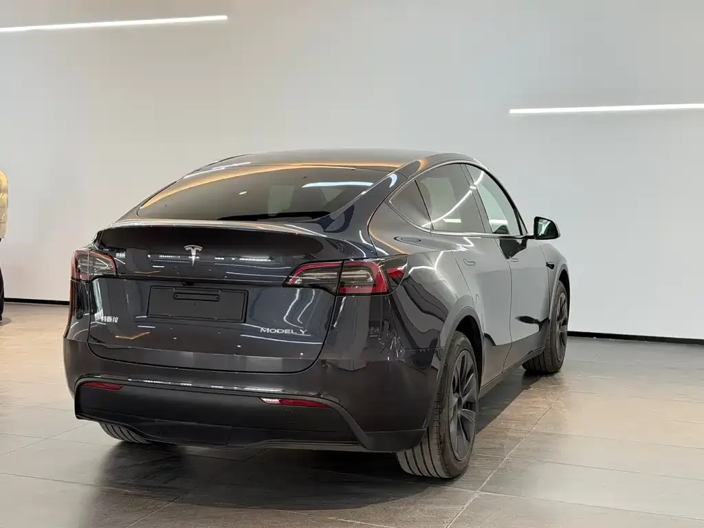 Tesla Model Y — фото 10