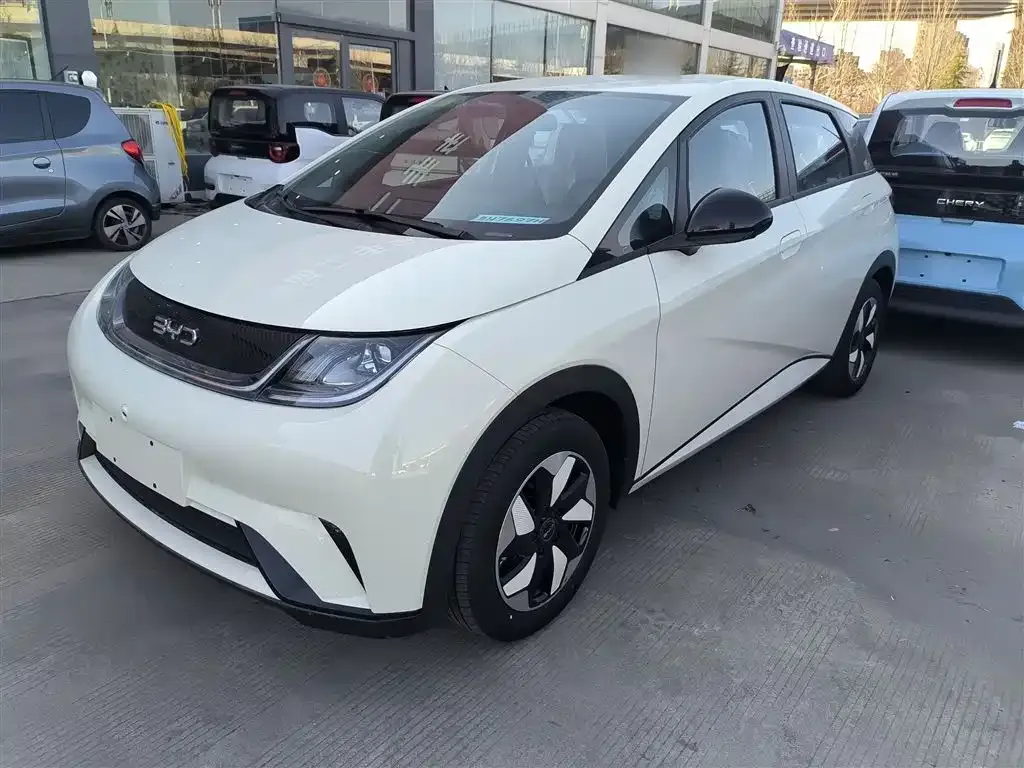 BYD Dolphin 2025 из CN, фото 1