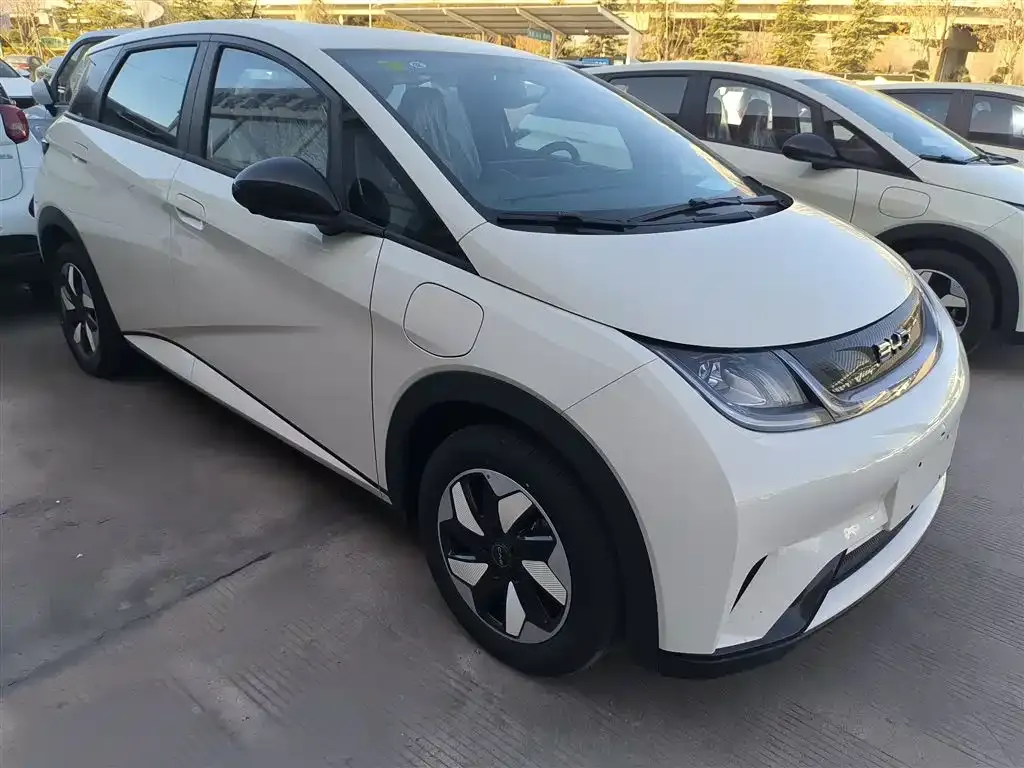 BYD Dolphin 2025 из CN, фото 8