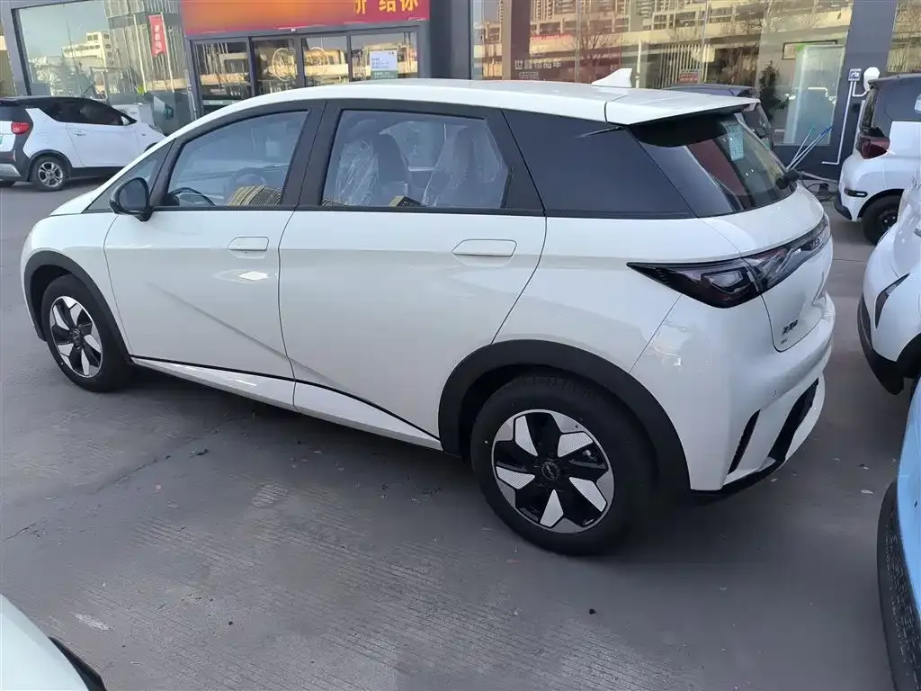 BYD Dolphin 2025 из CN, фото 4