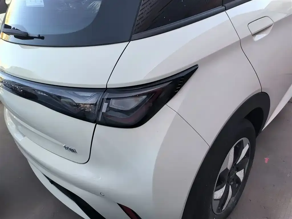 BYD Dolphin 2025 из CN, фото 2