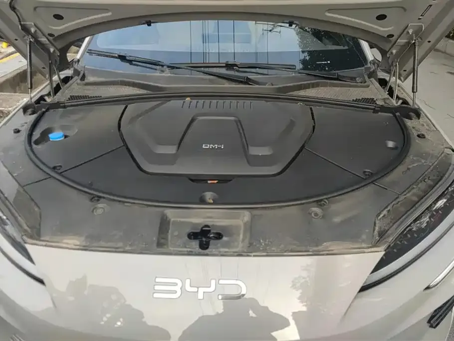 BYD PLUS New Energy — фото 2
