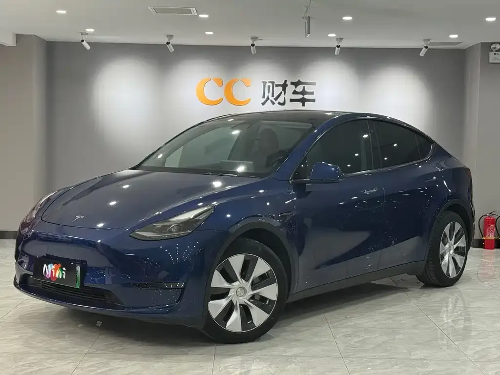 Tesla Model Y 2021 из CN, фото 1
