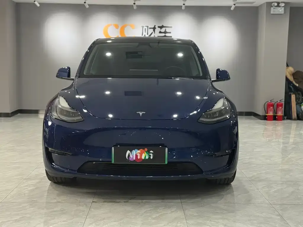 Tesla Model Y 2021 из CN, фото 2