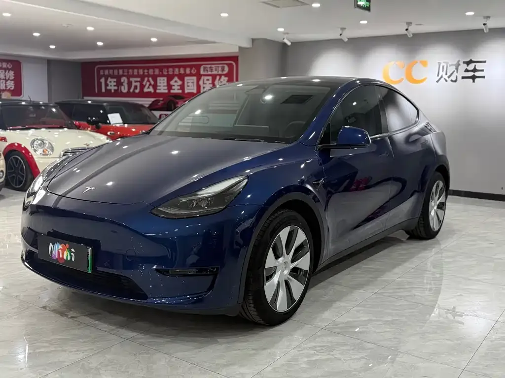 Tesla Model Y 2021 из CN, фото 3