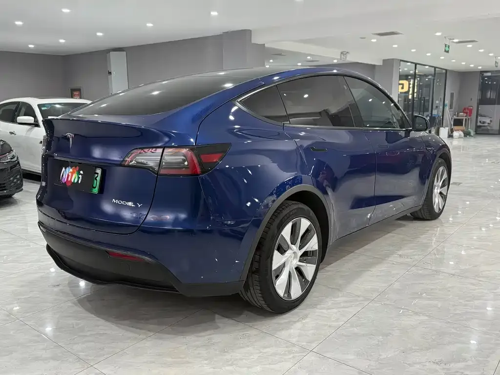 Tesla Model Y 2021 из CN, фото 4