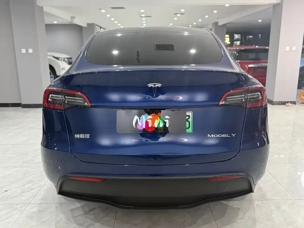 Tesla Model Y 2021 из CN, фото 5
