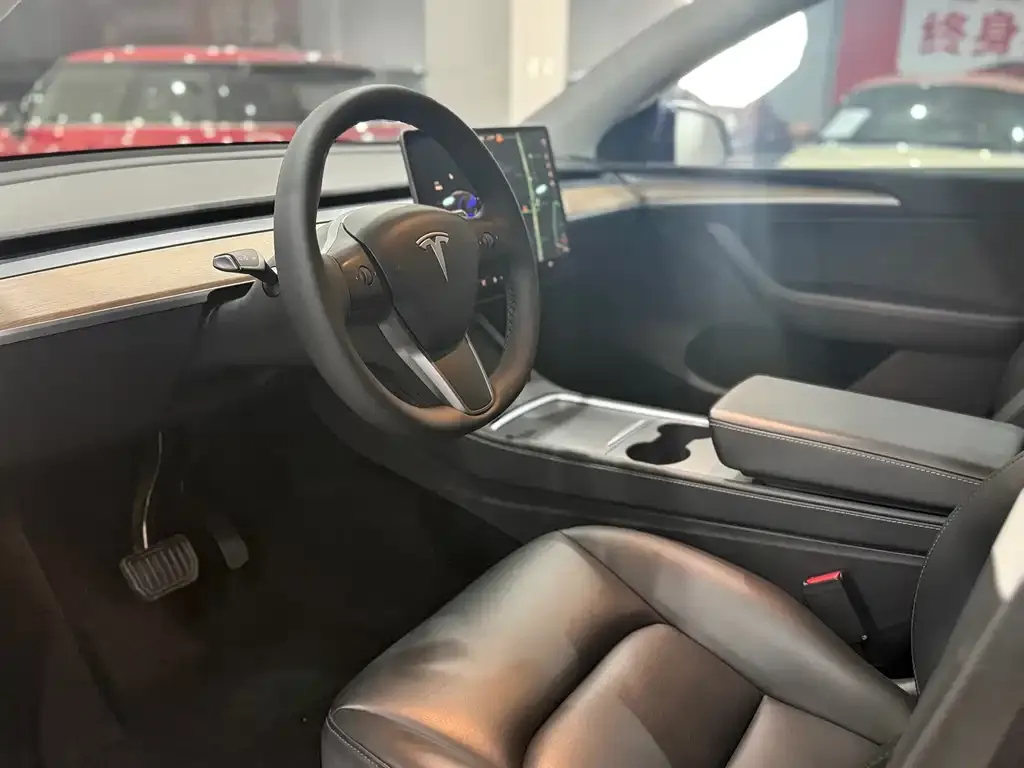 Tesla Model Y 2021 из CN, фото 6