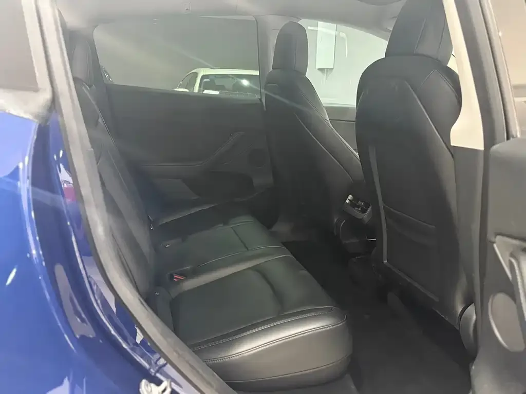 Tesla Model Y 2021 из CN, фото 7