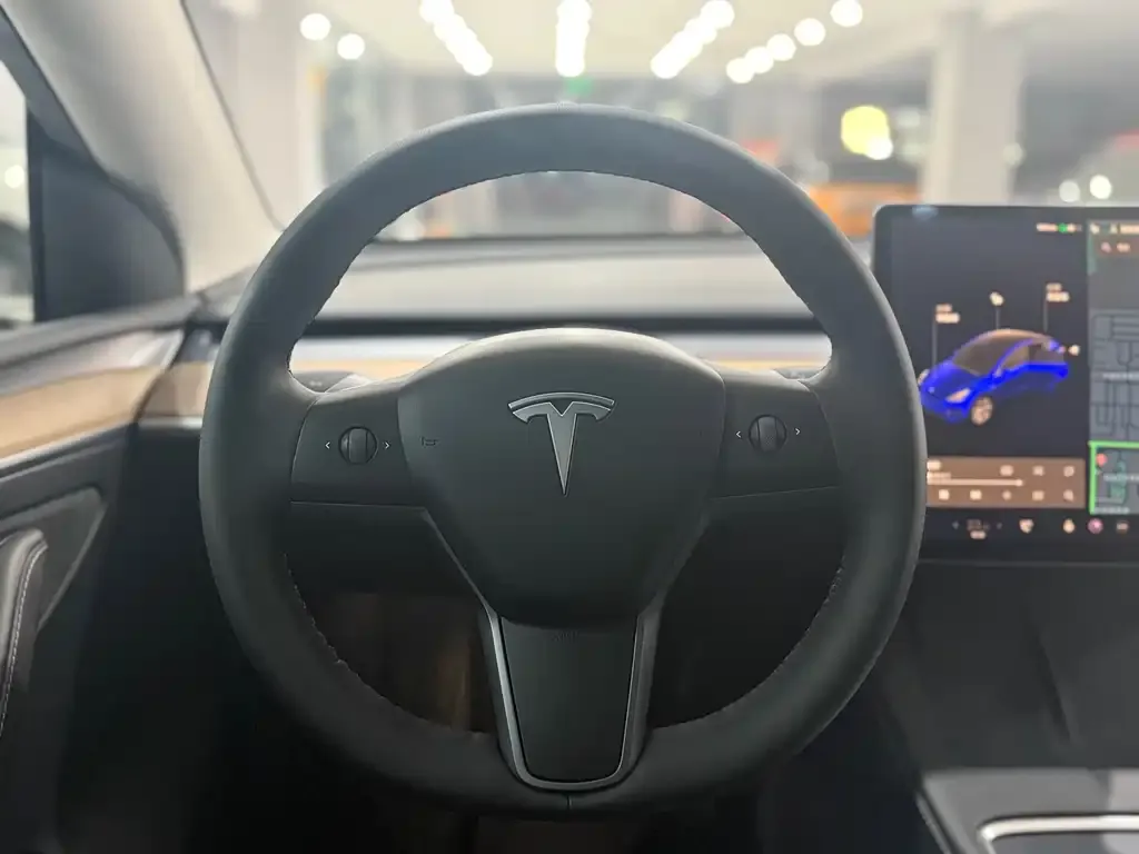 Tesla Model Y 2021 из CN, фото 8