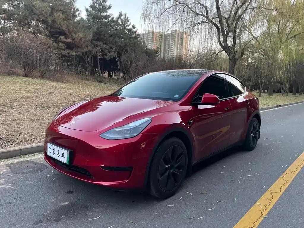 Tesla Model Y 2024 из CN, фото 1
