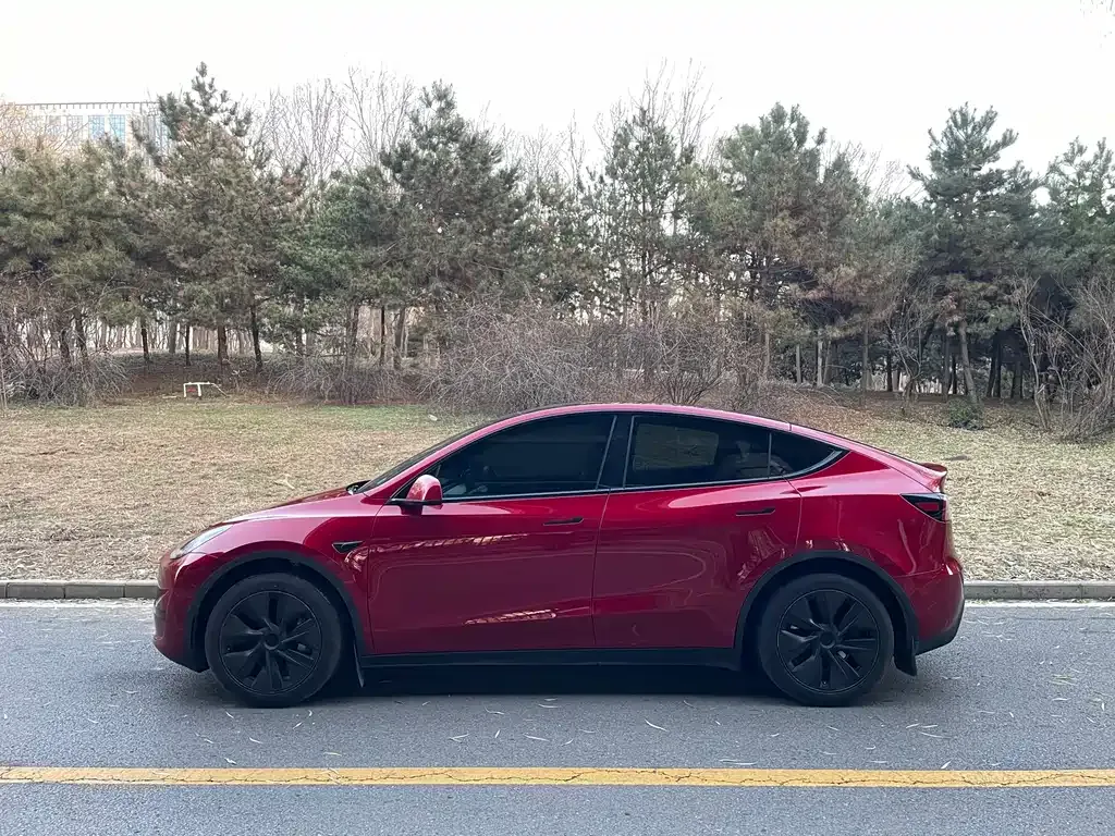 Tesla Model Y 2024 из CN, фото 8