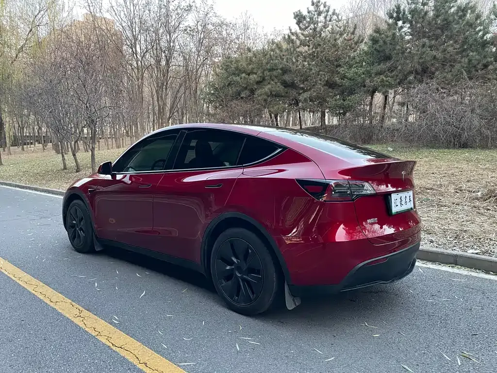 Tesla Model Y 2024 из CN, фото 5